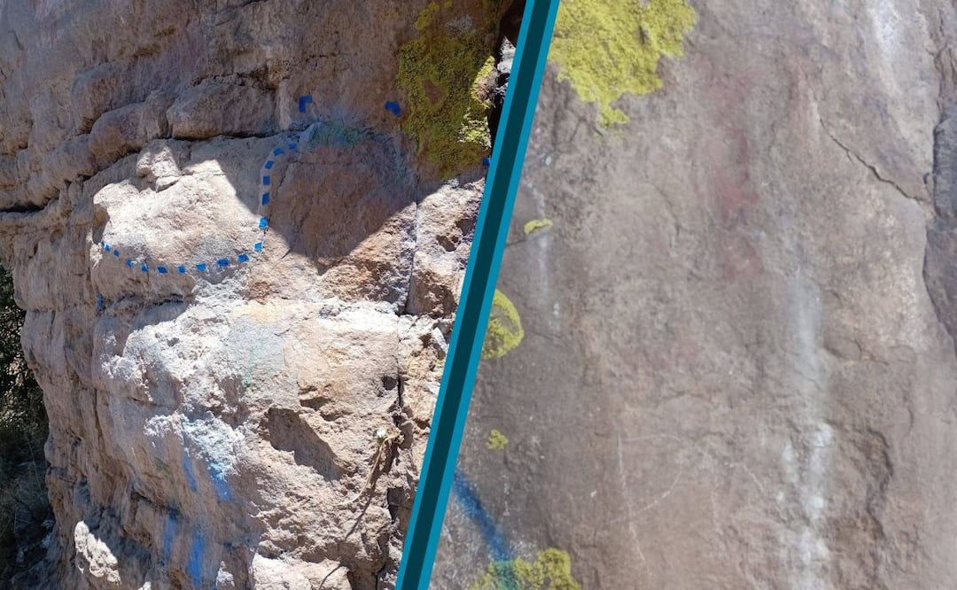 Facebook: Niebla y Tiempo A. C.