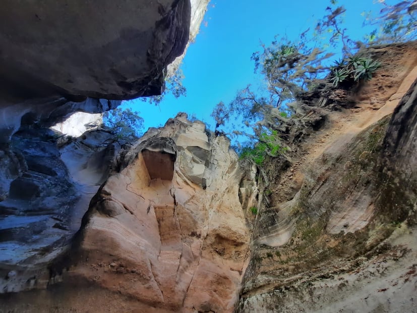 Un espacio protegido por la comunidad | Facebook: Arroyo del Cura