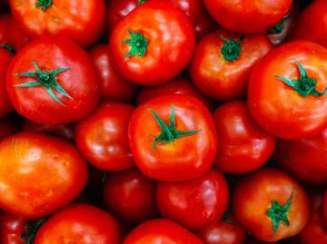 Tomatón Fest 2024: un evento con causa en el Parque Acuático Santa Ana