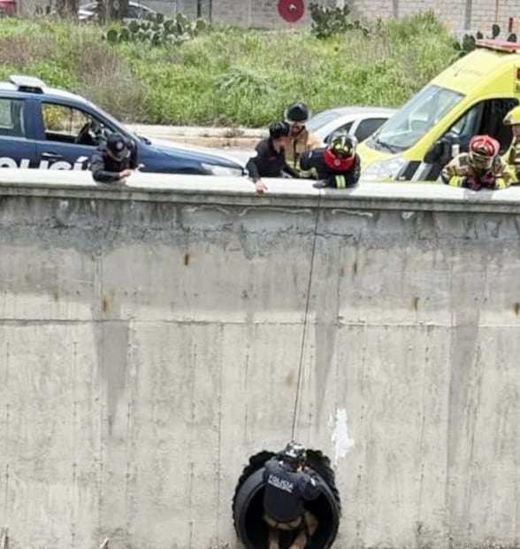 Rescatan a perro atrapado en tubería de aguas residuales en Río de las Avenidas | Foto: especial