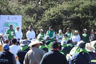 GPI se pinta de verde en Tepeji