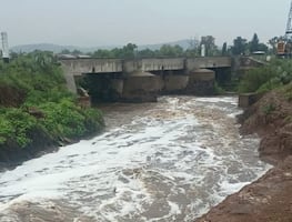 Río Papalote en Tizayuca, presuntamente contaminado por químicos