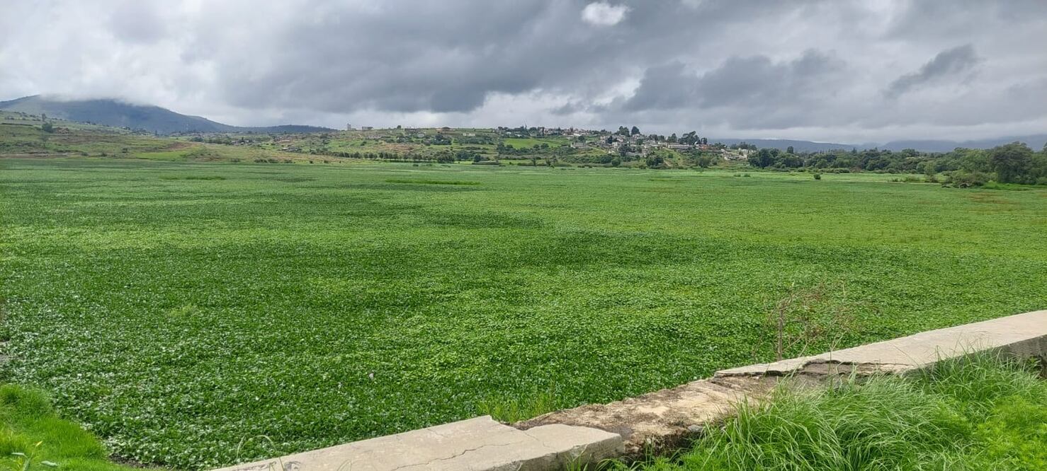 ¡Cuautepec vivirá su primer rally ecológico! Foto: especial