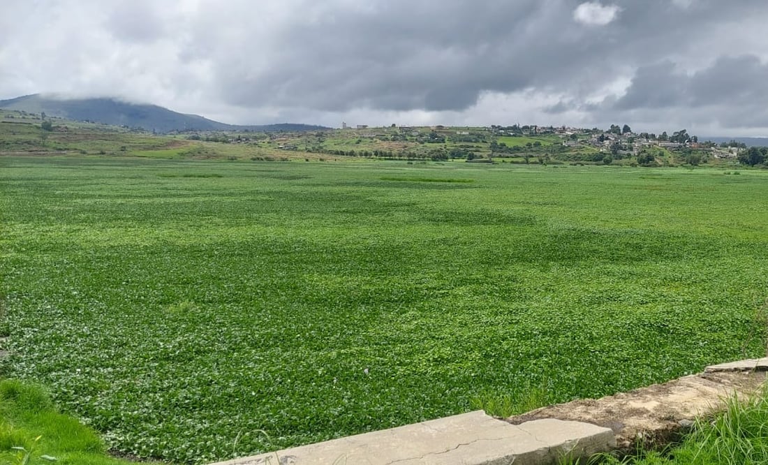 ¡Cuautepec vivirá su primer rally ecológico! Foto: especial