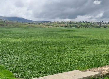 Cuautepec se alista para su primer rally ecológico en la presa La Esperanza