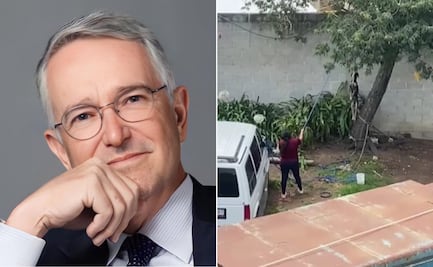 Investigan caso de maltrato animal en Tulancingo; causa indignación nacional