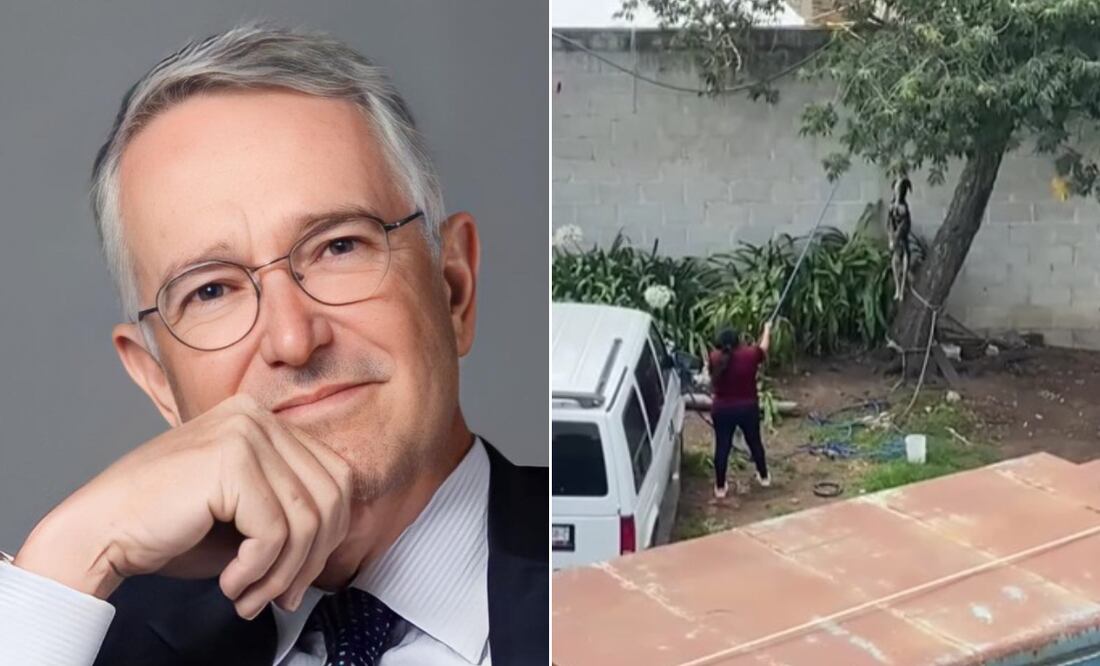 Indignación en Tulancingo por caso de maltrato animal | Facebook: Ricardo Salinas | Captura de video