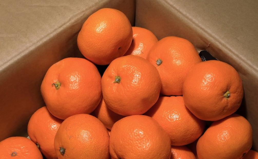 Baja producción de naranja generó cierre parcial de juguera | Imagen ilustrativa