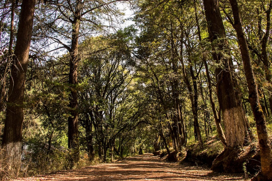 Hidalgo celebra el octavo aniversario del Geoparque Mundial UNESCO Comarca Minera | geoparquecomarcaminera.mx