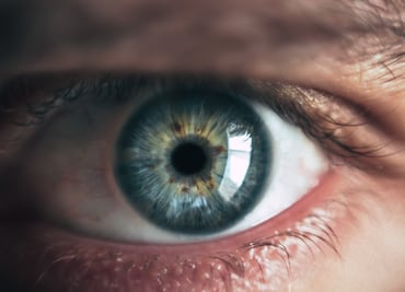 Alimentos que mejoran la vista y garantizan la salud de los ojos