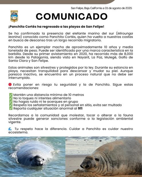 Comunicado oficial del Ayuntamiento de San Felipe | Foto: Ayuntamiento de San Felipe