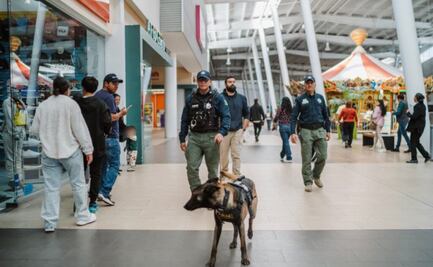 Pachuca refuerza la seguridad en centros comerciales con el programa “Comercio Seguro” 