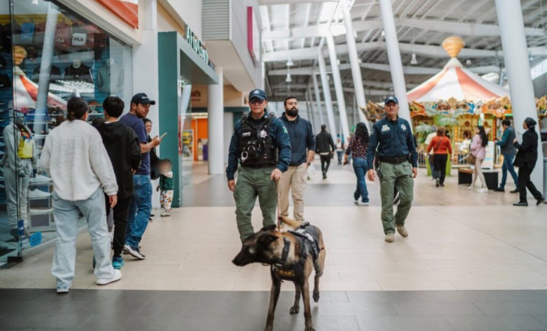 Foto ilustrativa del programa “Comercio Seguro” | Foto: Especial