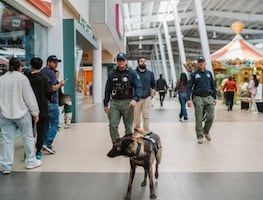 Pachuca refuerza la seguridad en centros comerciales con el programa “Comercio Seguro”