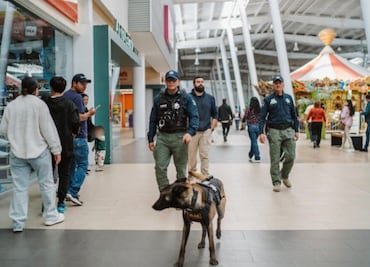 Pachuca refuerza la seguridad en centros comerciales con el programa “Comercio Seguro”