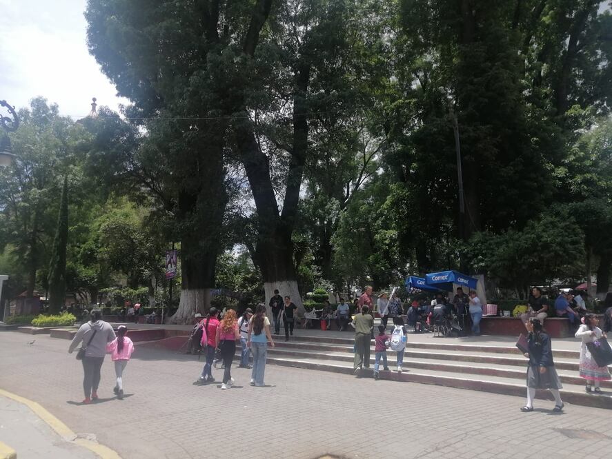 Tulancingo avanza hacia un reglamento de Imagen Urbana | Foto: Grisel Lira