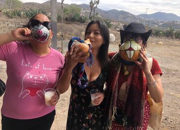 Hijas del Maguey luchan por salvar la tradición del pulque
