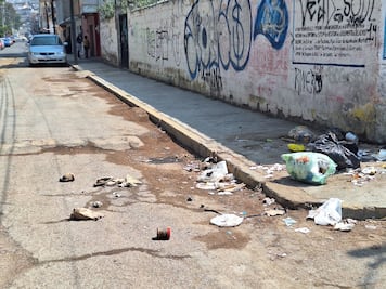 Vecinos de Pachuca encuentran cabeza de perro entre la basura