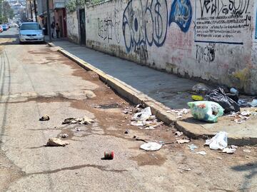 Vecinos de Pachuca encuentran cabeza de perro entre la basura