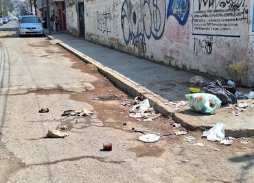 Vecinos de Pachuca encuentran cabeza de perro entre la basura