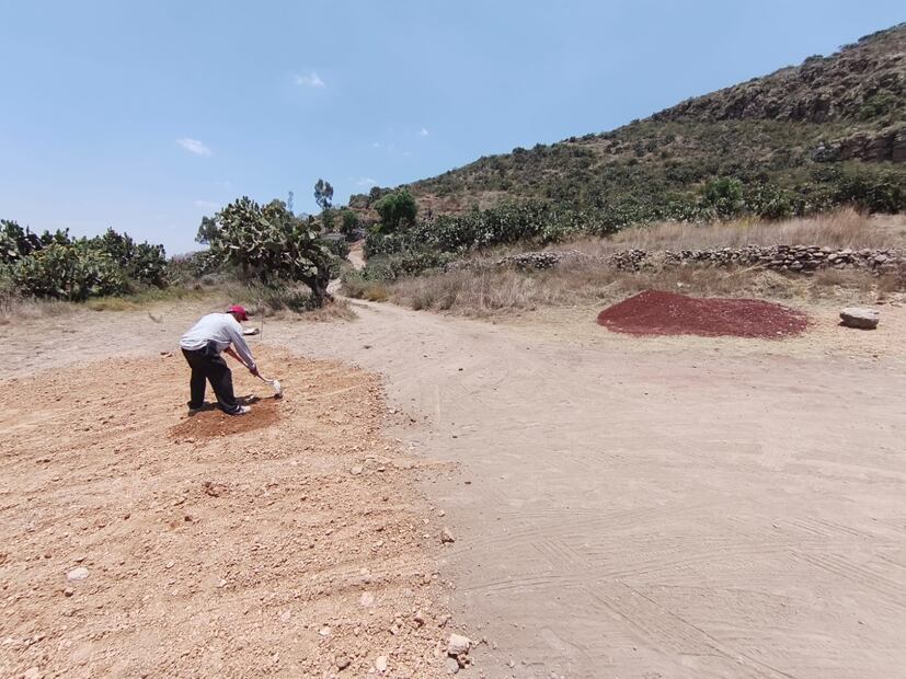 INAH confirma hallazgo de ofrenda con 10 cráneos humanos en Huapalcalco | Foto: especial
