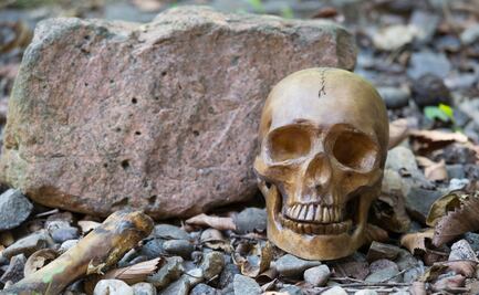 Hallan restos humanos en parcela de Tepeji del Río