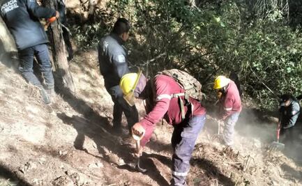 Piden investigar posible incendio provocado en Parque Nacional Los Mármoles