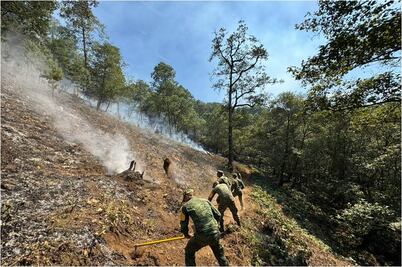 Con Plan DN-III-E y Plan GN sofoca 38 incendios forestales en Hidalgo