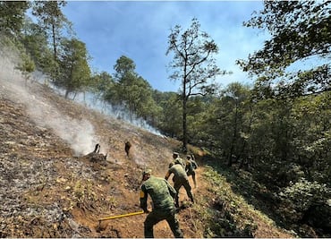 Con Plan DN-III-E y Plan GN sofoca 38 incendios forestales en Hidalgo