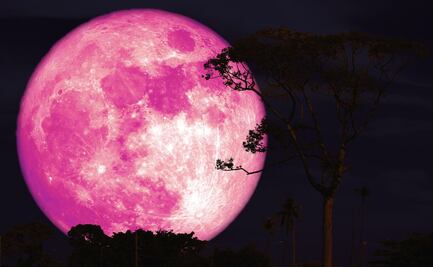 La “Luna de Fresa” iluminará el cielo este 11 de junio: conoce el origen de su nombre