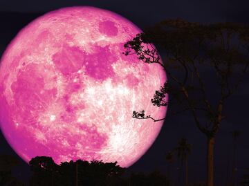 La “Luna de Fresa” iluminará el cielo este 11 de junio: conoce el origen de su nombre