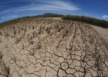 Sequía arrasa con ocho mil hectáreas en Tula