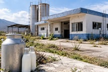 Rehabilitar centro de acopio de leche en Tulancingo costaría 50 mdp