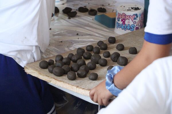 Arranca cuarta etapa de “Esferas de Vida” en Tepetitlán