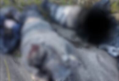 Hallan tres cuerpos embolsados en Epazoyucan, cerca del Parque Ecológico El Jarillal