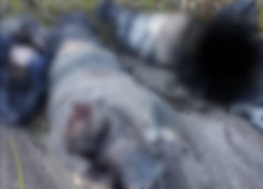 Hallan tres cuerpos embolsados en Epazoyucan, cerca del Parque Ecológico El Jarillal