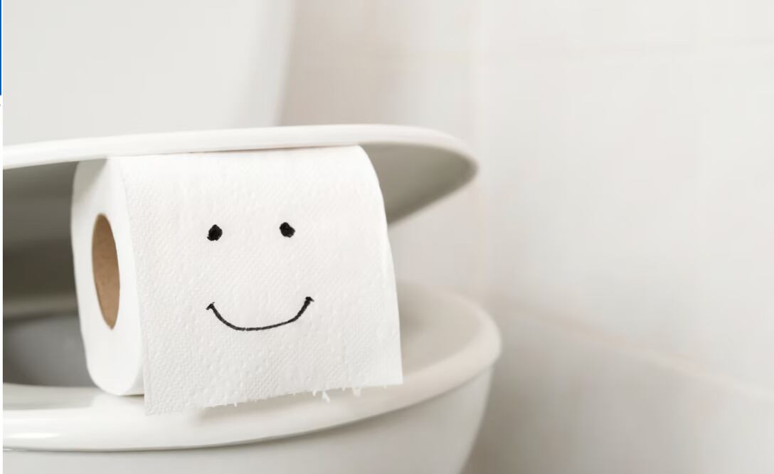 La UNAM y expertos en higiene explican por qué tirar el papel higiénico en el inodoro es la mejor opción para evitar la proliferación de microorganismos y reducir el impacto ambiental. Foto: Captura de pantalla