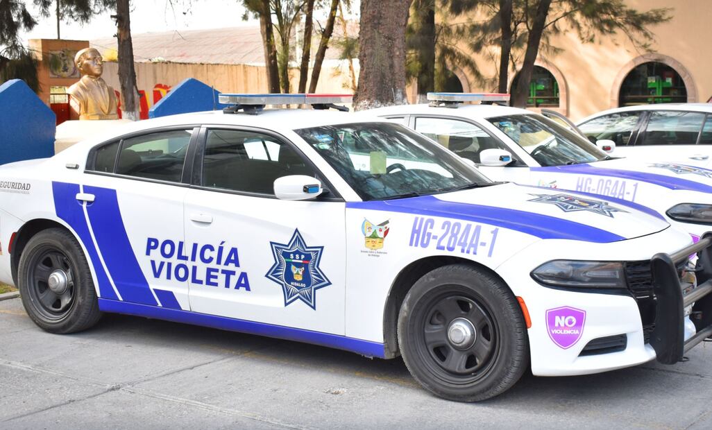 Policía Violeta I Foto: Ilustrativa