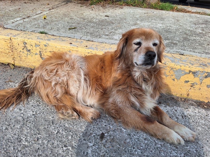 Foto: Cinthya Carbajal