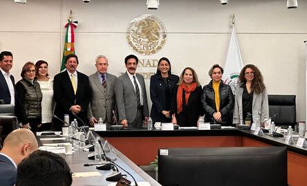 Falso que mi nombramiento sea por pago de favores: Fayad