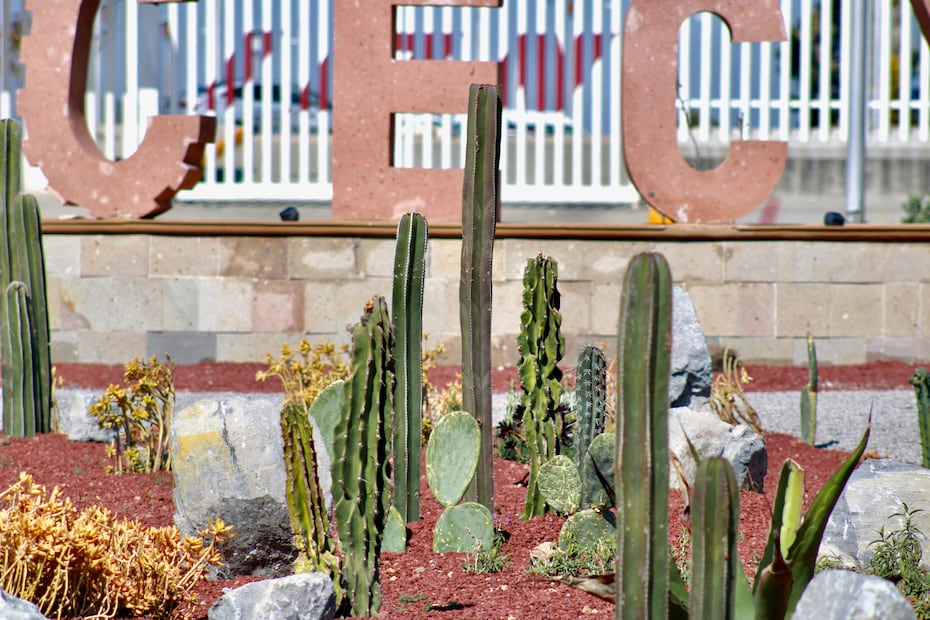 Abren al público sendero ecológico y científico en Hidalgo | Foto: especial