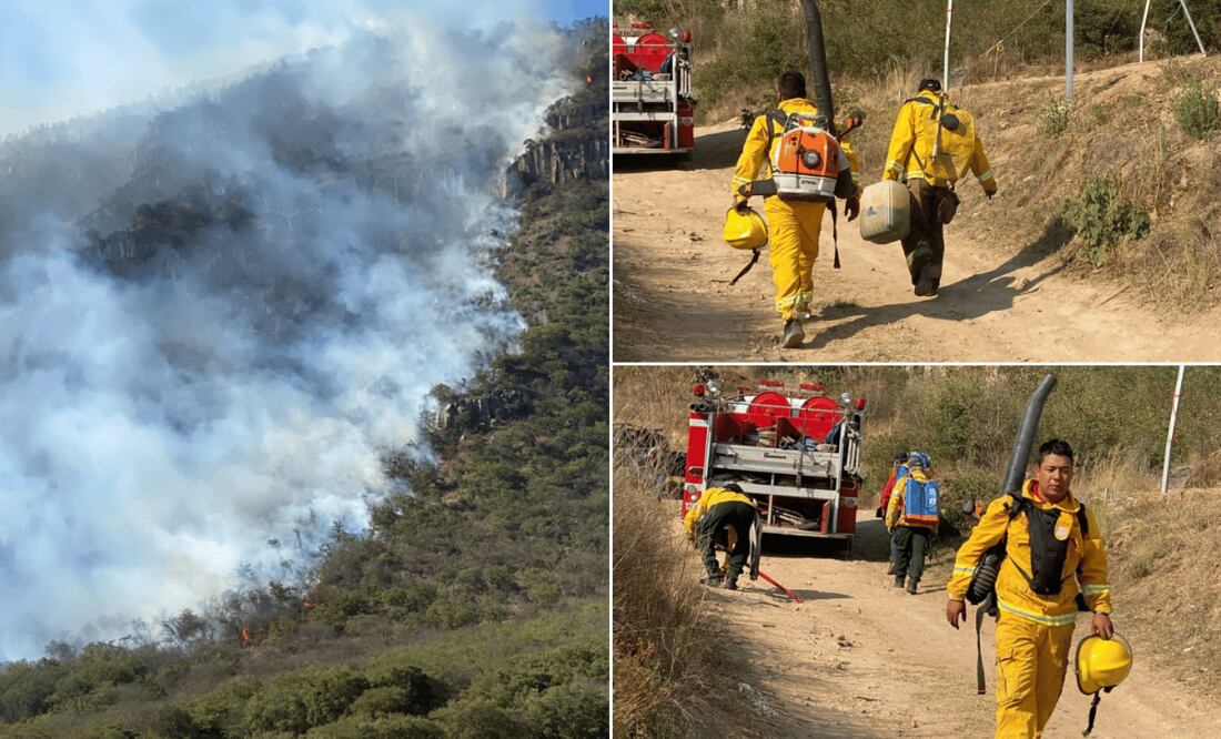 Incendio en el cerro de Napateco está controlado I Foto: Especial