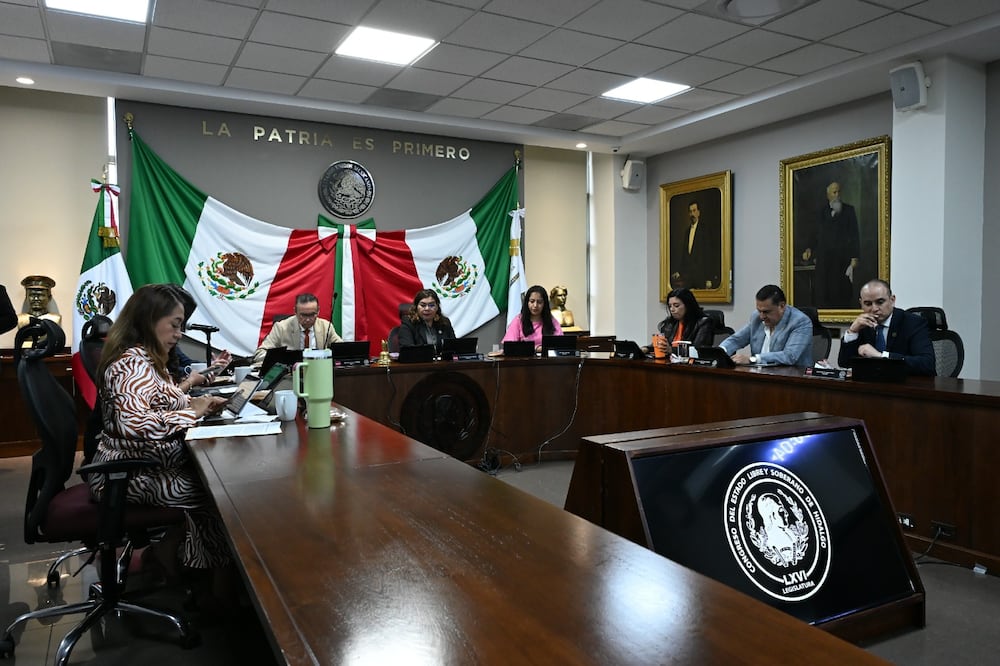 María Guadalupe Cruz Montaño, diputada local I Foto: Especial