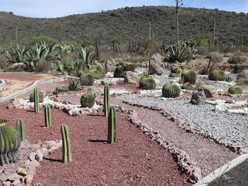 El Parque Ecológico de Cubitos, un tesoro natural en Pachuca
