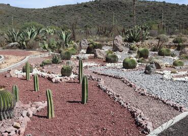 El Parque Ecológico de Cubitos, un tesoro natural en Pachuca
