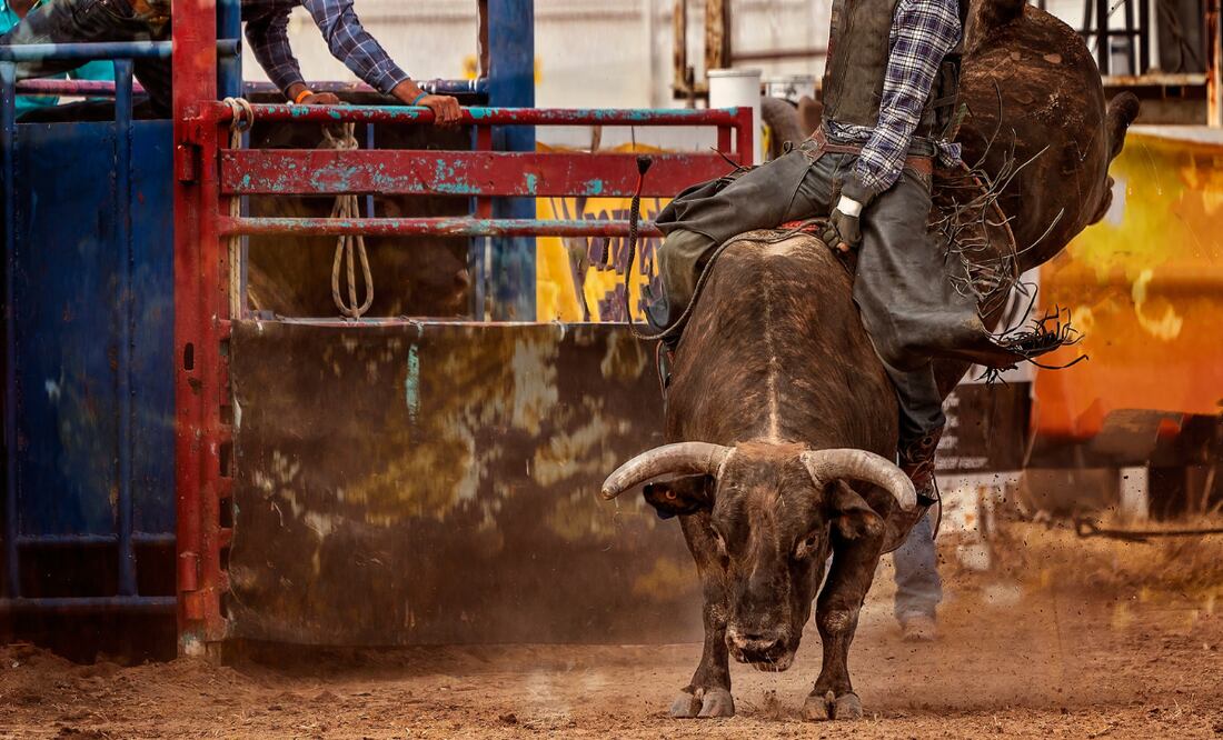 Balacera en jaripeo de Tepeji del Río | Imagen ilustrativa