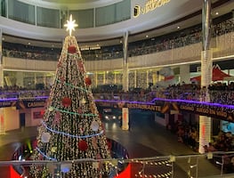 Vía Dorada enciende las luces de la Navidad con cientos de familias