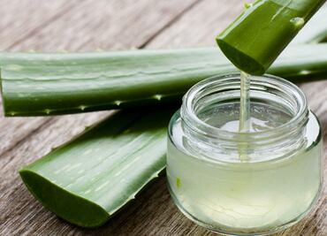 Cinco beneficios de la sábila