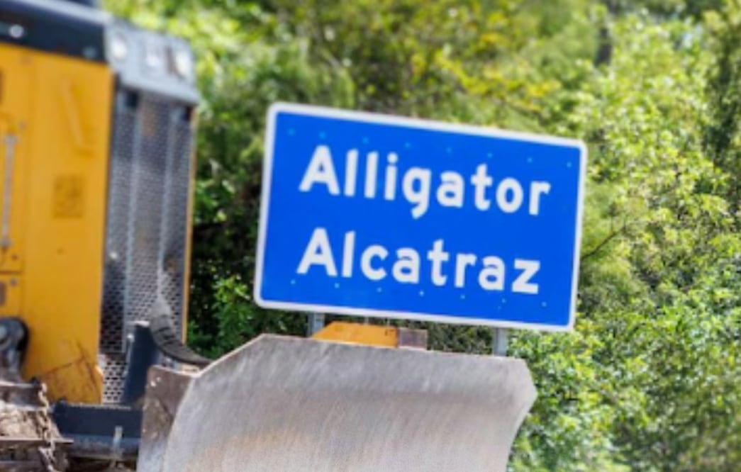 Alligator Alcatraz I Foto: Especial