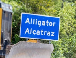 Hay 30 mexicanos detenidos en Alligator Alcatraz, informa Sheinbaum; Rutilio Escandón ya brinda apoyo